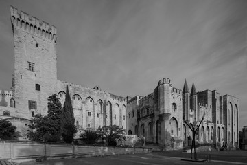 Fototapeta na wymiar Pope's Palace in Avignon. View of the Pope's Palace in Avignon, Provence, Luberon, Vaucluse, France