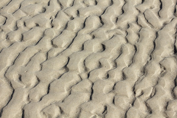 Close-up of ripples in the sand of the North sea coast