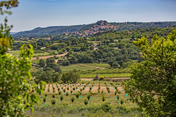 Fototapeta na wymiar View of the village Bonnieux. Landscape near the village of Bonnieux, Provence, Luberon, Vaucluse, France