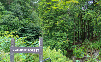 Glenariff Forest walk