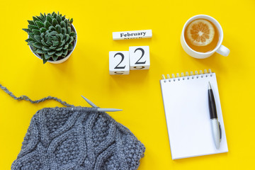 Wooden cubes calendar February 22nd. Cup of tea with lemon, empty open notepad for text. Pot with succulent and fabric on knitting needles on yellow background. Top view Flat lay Mockup Concept.