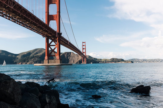 Surfer in the Golden Gate Bridge, California