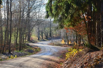 Forstweg schlängelt sich durch den Wald bei Nässe mit Fahrspuren