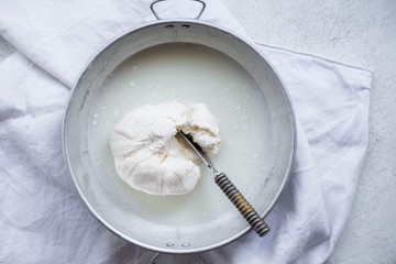 Creamy cheese Mascarpone raw milk ricotta cheese in plate 