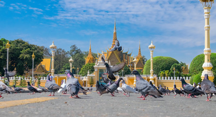 Fototapeta na wymiar The pigeons in the square in front of the Royal Palace