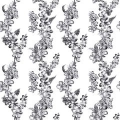 Hand drawn charcoal pencil illustration flowers of the gray pulm blossoms. Beautiful elegant seamless pattern in graphic style on a white background