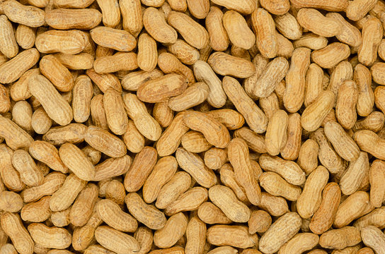 Peanuts With Shell, Background. Also Groundnut Or Goober. Pile Of Unshelled, Dry Roasted Whole Pods Of Arachis Hypogaea, Used As Snack, Oil Crop And Grain Legume. Macro Food Photo Close Up From Above.