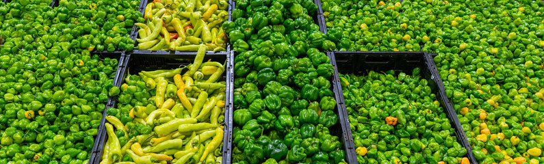 Mexican chili peppers