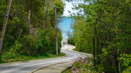Winding Road Leading To The Lake