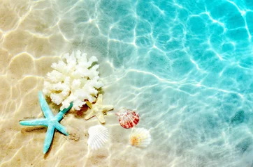 Starfish and seashell on the summer beach in sea water. Summer background. Summer time. © Belight
