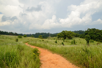 Breathtaking view of a dirt road in the middle of a grassy field, with large cumulus clouds in the sky. Khao Yai, Nakhon Nayok, Thailand. Travel and nature concept.