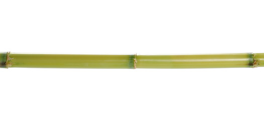 Green bamboo sticks isolated on white, side view