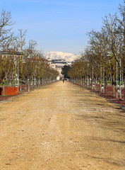 Fototapeta premium Street in the park called CAMPO MARZO in Vicenza, Italy
