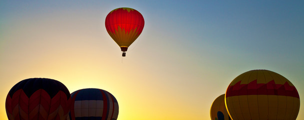 hot air balloons in the sky