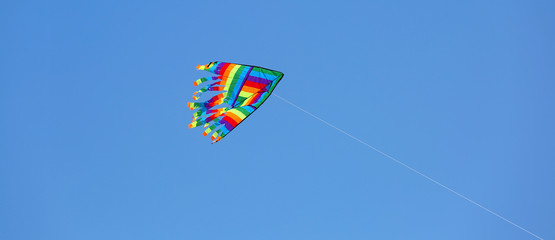 colored kite flies in the blue sky