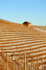 Snow covered vineyard hill with an old tool shed on the top in winter, Barbaresco, Langhe, Piedmont, Italy