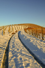 Sinuous road among snow covered vineyards with blue sky in winter, Barbaresco, Langhe, Piedmont, Italy