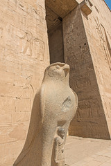 Hieroglyphic carvings on an ancient egyptian temple wall with statue