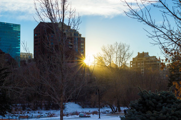 Gegenlicht Prince’s Island Park