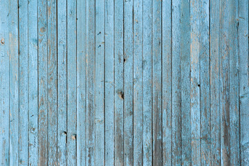 Wall of blue wooden slats. Exfoliated blue paint. Vertical laying, upright