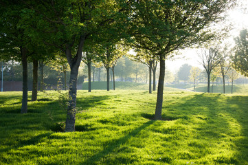 Obraz premium Green parks of Dublin