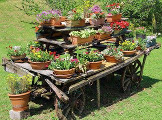 wagon festooned with many pots of flowers