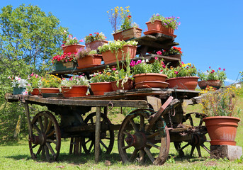 wagon festooned with many pots in the mountains