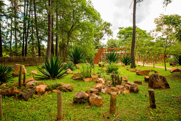 Botanical garden in brasilia, brazil