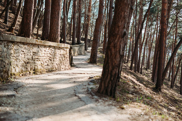 Obraz premium Terrenkur, walkway in park
