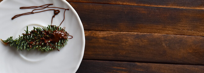 green branch in chocolate on a white plate
