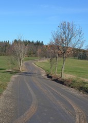 Fototapeta na wymiar Feldweg Forstweg Waldweg sonnig bei Nässe im Herbst