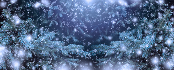 Christmas background with snowfall and spruce branch