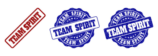 TEAM SPIRIT grunge stamp seals in red and blue colors. Vector TEAM SPIRIT watermarks with draft effect. Graphic elements are rounded rectangles, rosettes, circles and text titles.