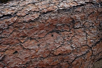 Abstract Backgrounds 