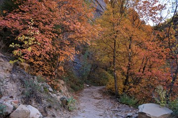 Zion National Park Utah, USA
