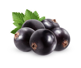 Black currant isolated on white background.