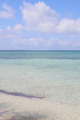 beach and sea, caribbean sea, paradise