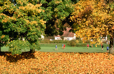 Fußballspiel mit Herbstlaub im Vordergrund