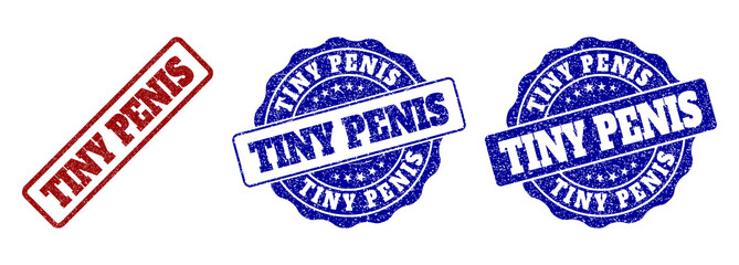 TINY PENIS scratched stamp seals in red and blue colors. Vector TINY PENIS imprints with distress style. Graphic elements are rounded rectangles, rosettes, circles and text tags.