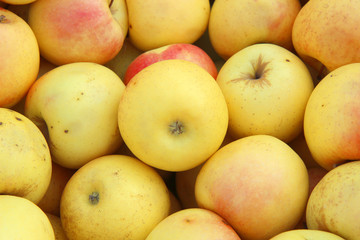 Naklejka na ściany i meble fresh yellow apples on the market
