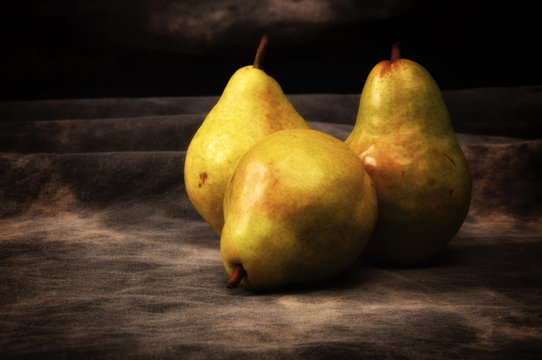 Three ripe pears on gray mottled background, set up, composed and photographed to resemble old fashioned still life painting.