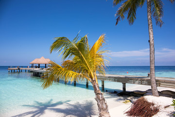 Beautiful beach and island in the Maldives