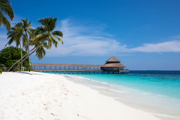 Obraz na płótnie Canvas White sand beach and crystal clear water in the Maldives