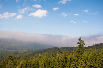 landscape in mountains