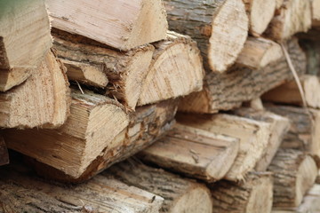 Pile of cut wood
