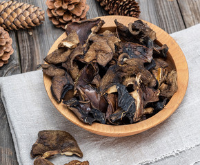 dry forest edible mushrooms