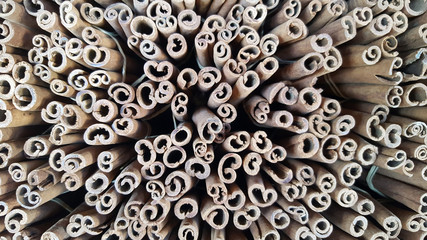 Cinnamon sticks spice