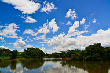 Fototapeta na wymiar City Park in Brasilia, Brazil