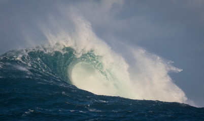 Massive waves from Maui