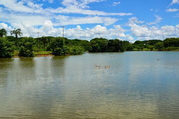 City Park in Brasilia, Brazil